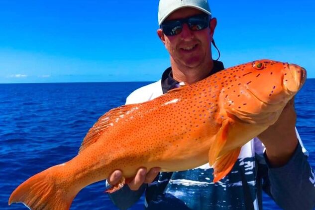 Coral trout