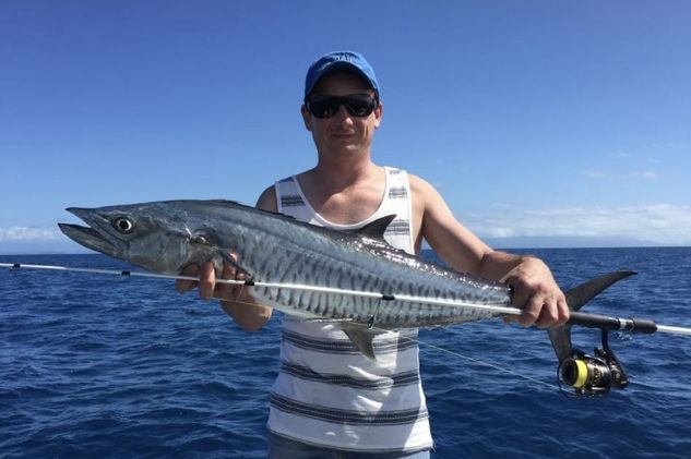 Spanish Mackerel