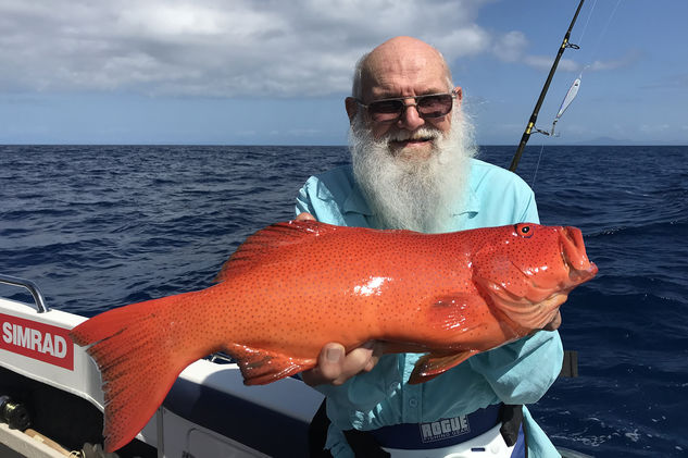 Coral Trout